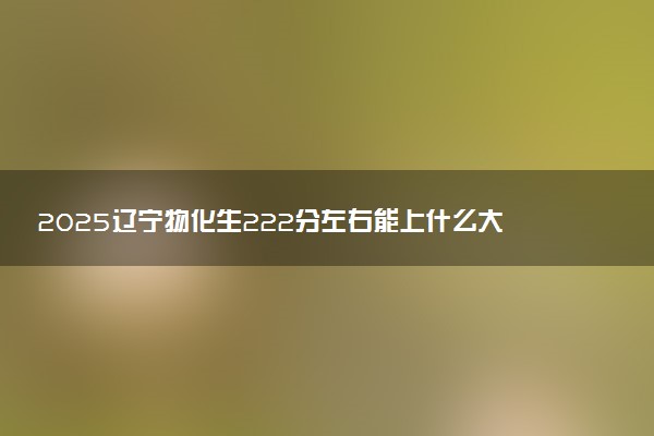 2025辽宁物化生222分左右能上什么大学 可以报考的院校名单