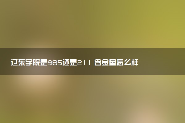 辽东学院是985还是211 含金量怎么样