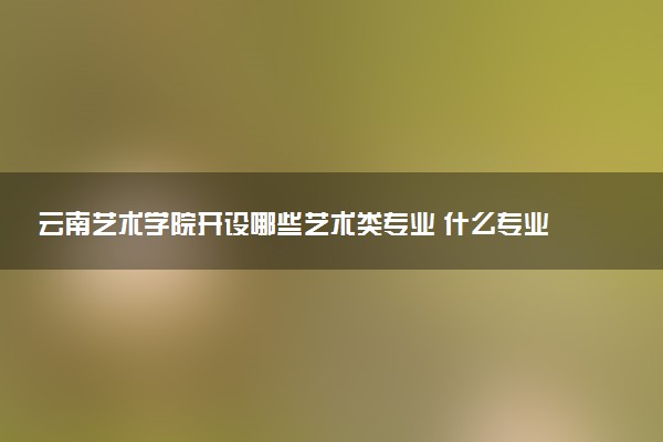 云南艺术学院开设哪些艺术类专业 什么专业前景好