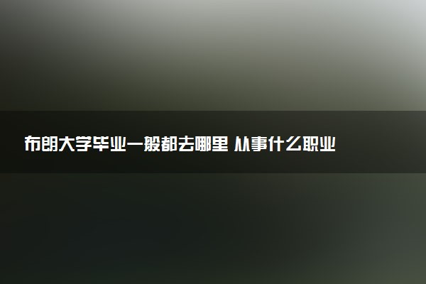 布朗大学毕业一般都去哪里 从事什么职业
