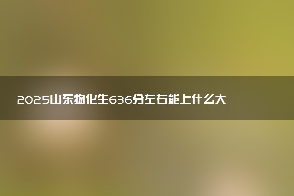 2025山东物化生636分左右能上什么大学 可以报考的院校名单
