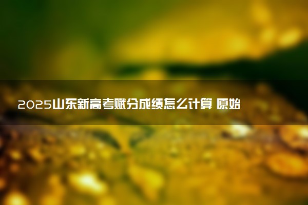 2025山东新高考赋分成绩怎么计算 原始成绩与赋分对照表