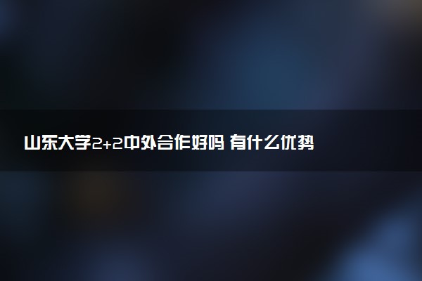 山东大学2+2中外合作好吗 有什么优势
