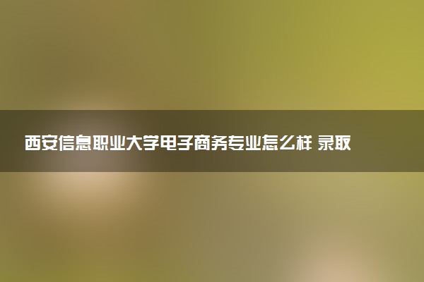 西安信息职业大学电子商务专业怎么样 录取分数线多少