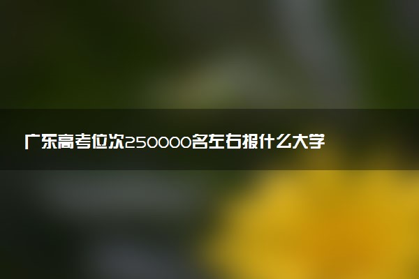 广东高考位次250000名左右报什么大学好（2025年参考）