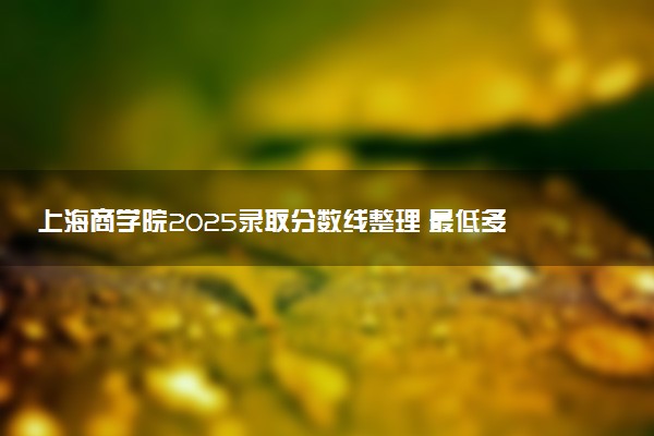 上海商学院2025录取分数线整理 最低多少分可以考上