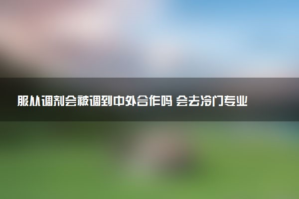 服从调剂会被调到中外合作吗 会去冷门专业吗