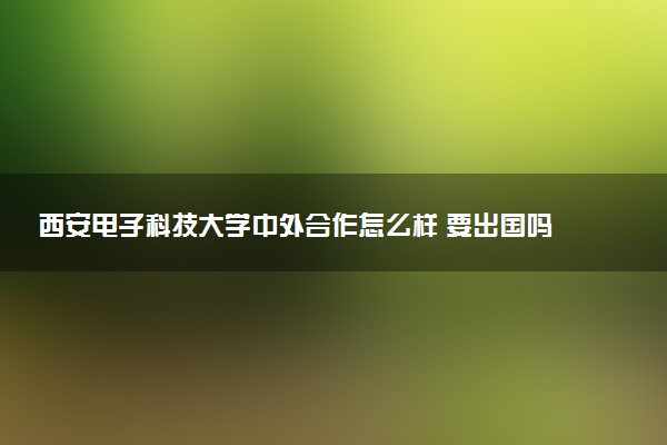 西安电子科技大学中外合作怎么样 要出国吗