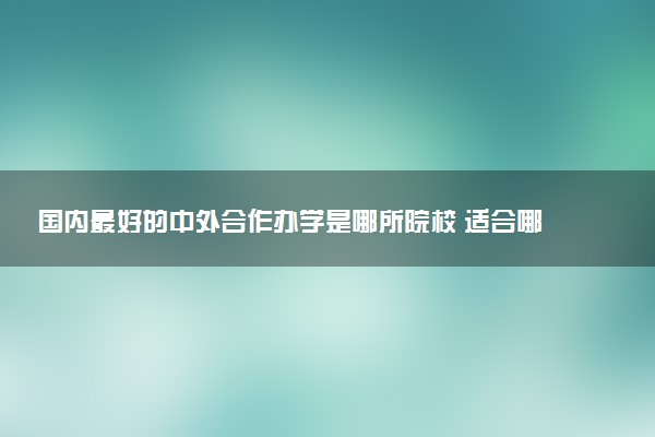 国内最好的中外合作办学是哪所院校 适合哪些学生