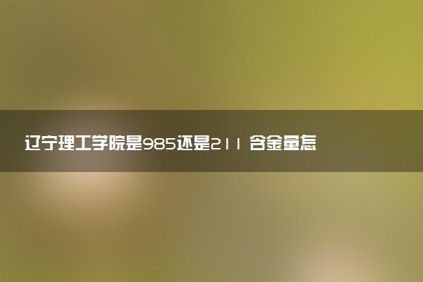 辽宁理工学院是985还是211 含金量怎么样