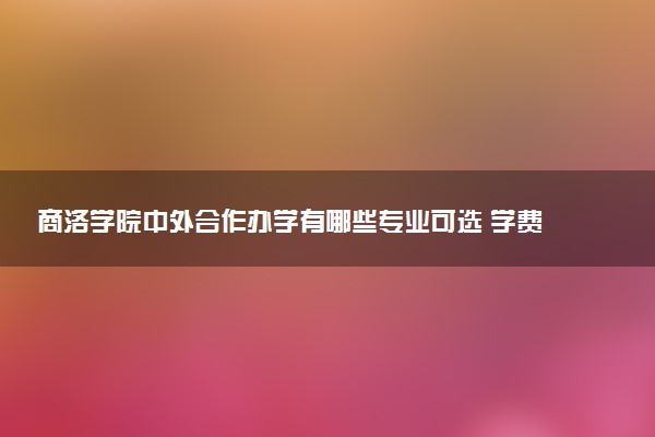 商洛学院中外合作办学有哪些专业可选 学费是多少