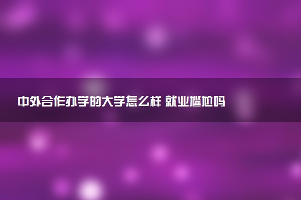 中外合作办学的大学怎么样 就业尴尬吗