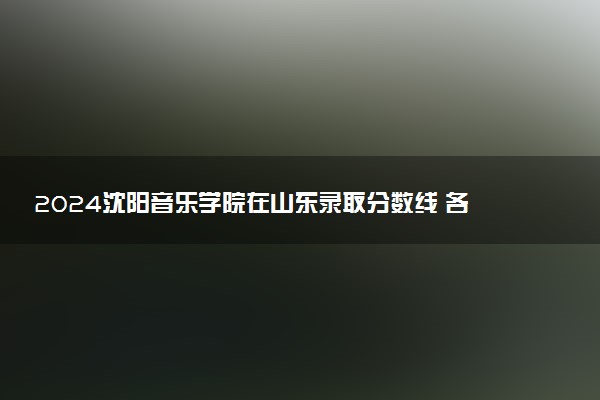 2024沈阳音乐学院在山东录取分数线 各专业分数及位次