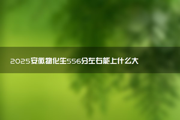 2025安徽物化生556分左右能上什么大学 可以报考的院校名单