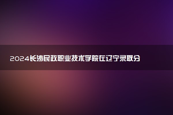 2024长沙民政职业技术学院在辽宁录取分数线 各专业分数及位次
