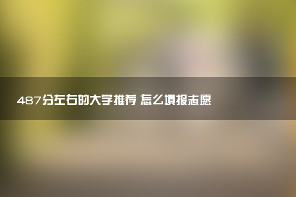 487分左右的大学推荐 怎么填报志愿