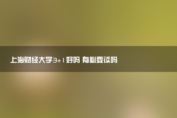 上海财经大学3+1好吗 有必要读吗