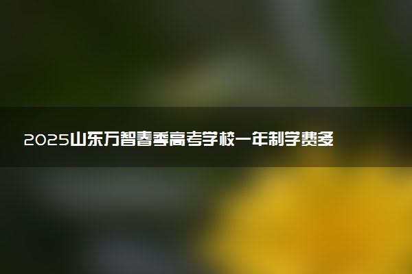 2025山东万智春季高考学校一年制学费多少