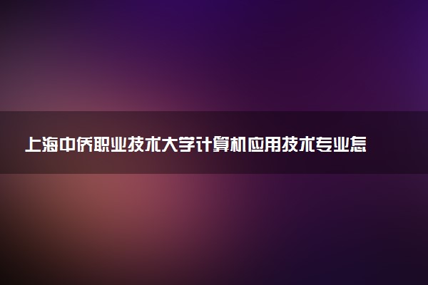 上海中侨职业技术大学计算机应用技术专业怎么样 录取分数线多少