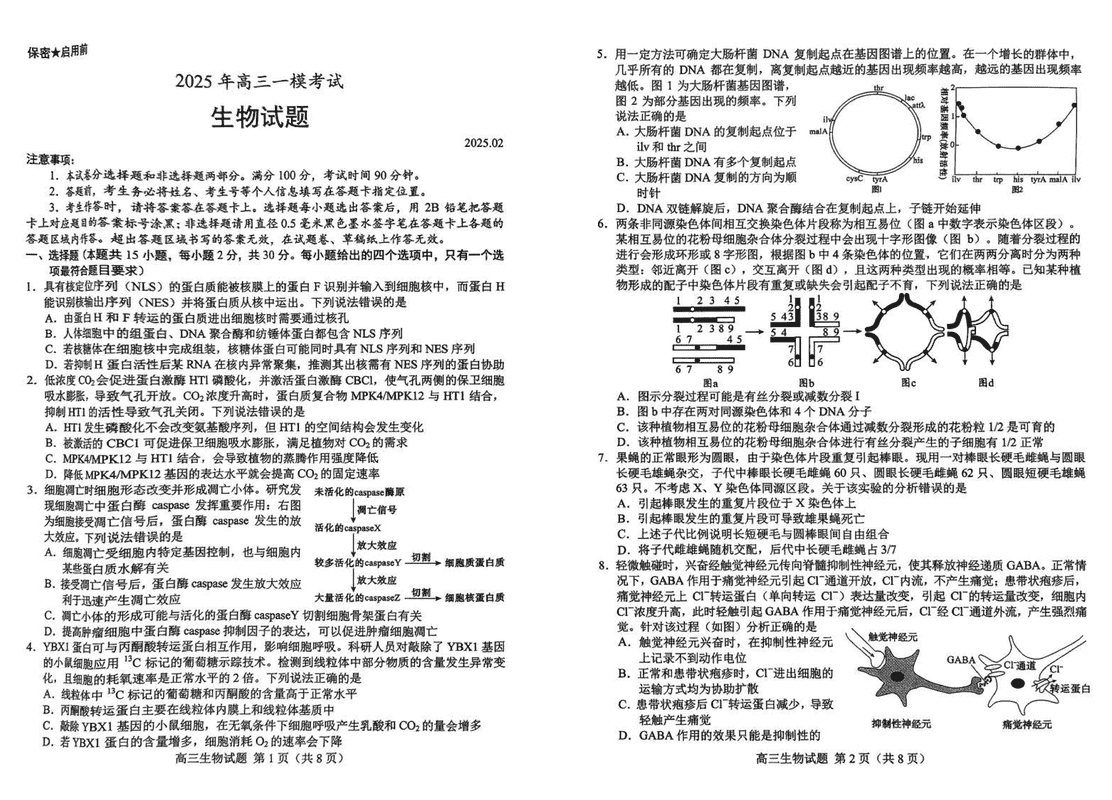 山东菏泽2025年高三一模生物试题及答案