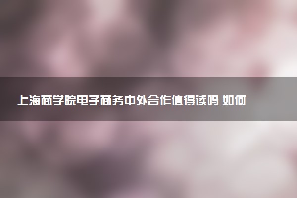 上海商学院电子商务中外合作值得读吗 如何申请