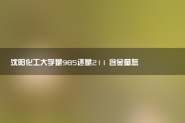 沈阳化工大学是985还是211 含金量怎么样