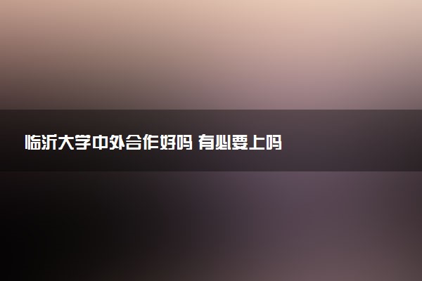 临沂大学中外合作好吗 有必要上吗