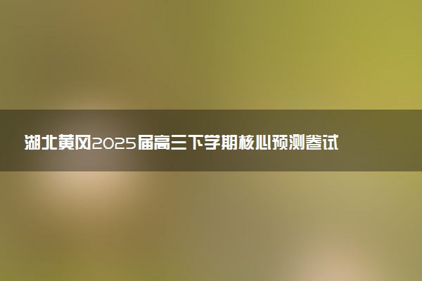 湖北黄冈2025届高三下学期核心预测卷试题及答案汇总