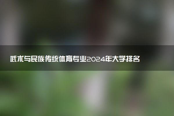 武术与民族传统体育专业2024年大学排名 最好的大学排行榜