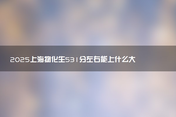 2025上海物化生531分左右能上什么大学 可以报考的院校名单