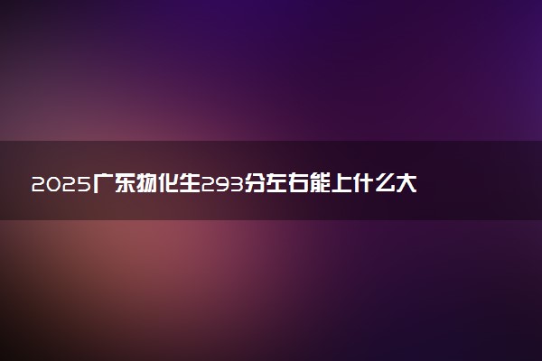2025广东物化生293分左右能上什么大学 可以报考的院校名单
