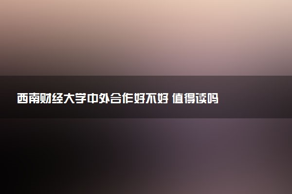 西南财经大学中外合作好不好 值得读吗
