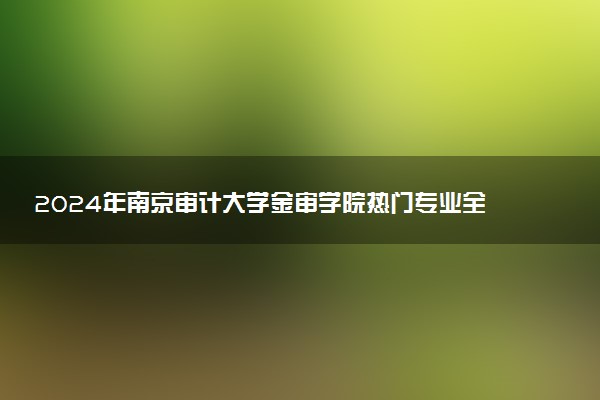 2024年南京审计大学金审学院热门专业全国排名 有哪些专业比较好