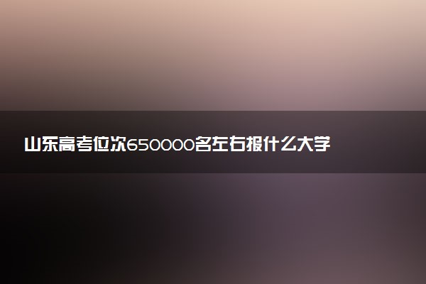 山东高考位次650000名左右报什么大学好（2025年参考）