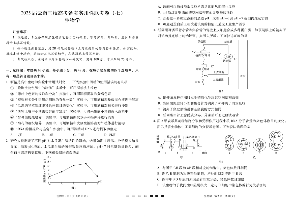 2025届云南三校高三高考备考实用性联考卷（七）生物试题及答案汇总