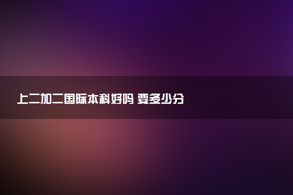 上二加二国际本科好吗 要多少分
