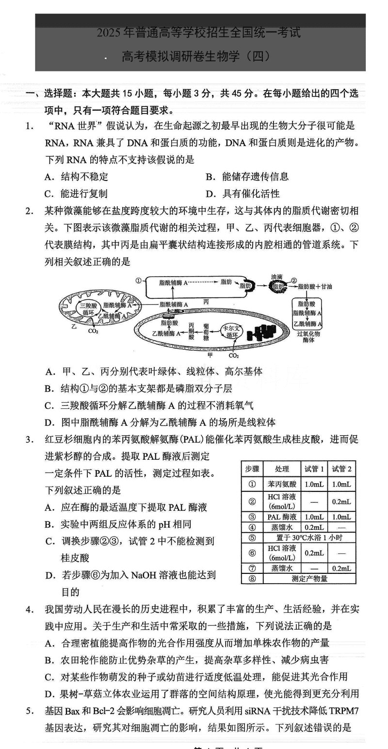 重庆康德卷2025年高考模拟调研（四）生物试题及答案