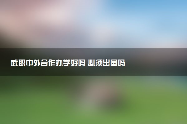 武职中外合作办学好吗 必须出国吗