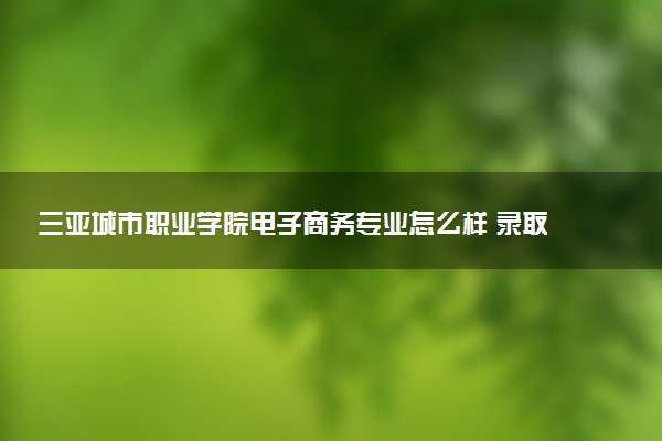 三亚城市职业学院电子商务专业怎么样 录取分数线多少