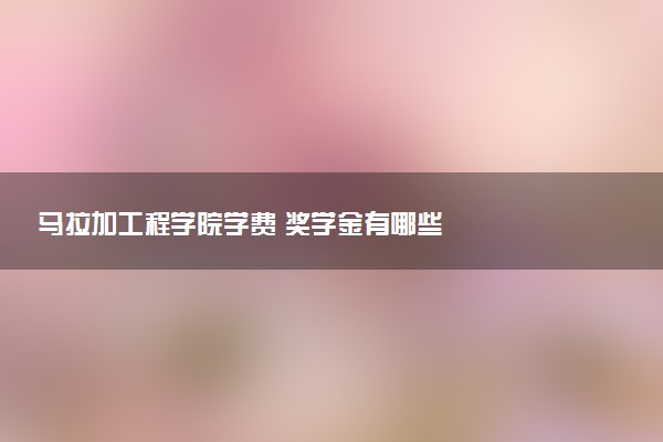 马拉加工程学院学费 奖学金有哪些