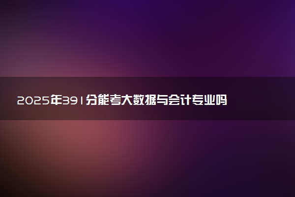 2025年391分能考大数据与会计专业吗 391分大数据与会计专业大学推荐