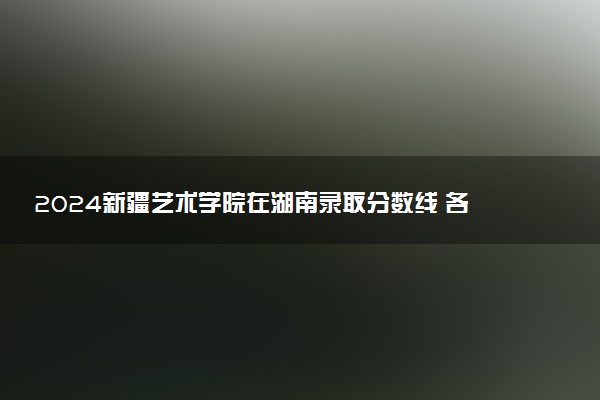 2024新疆艺术学院在湖南录取分数线 各专业分数及位次