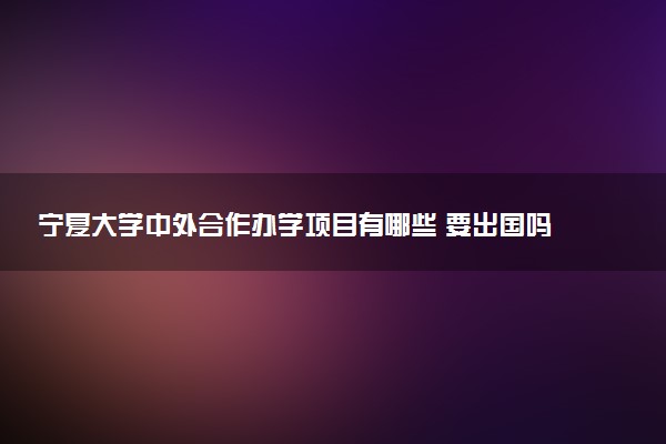 宁夏大学中外合作办学项目有哪些 要出国吗