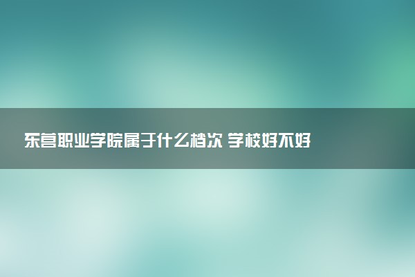 东营职业学院属于什么档次 学校好不好