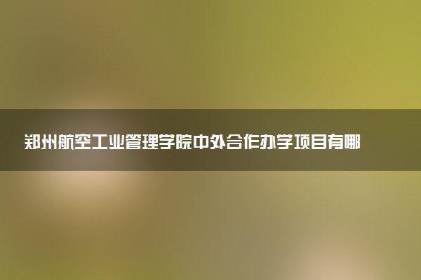 郑州航空工业管理学院中外合作办学项目有哪些 要出国吗