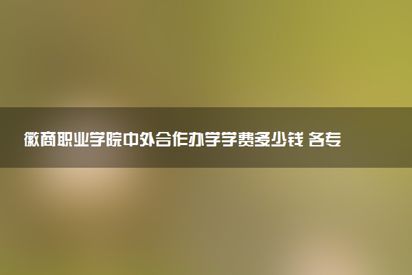 徽商职业学院中外合作办学学费多少钱 各专业收费标准