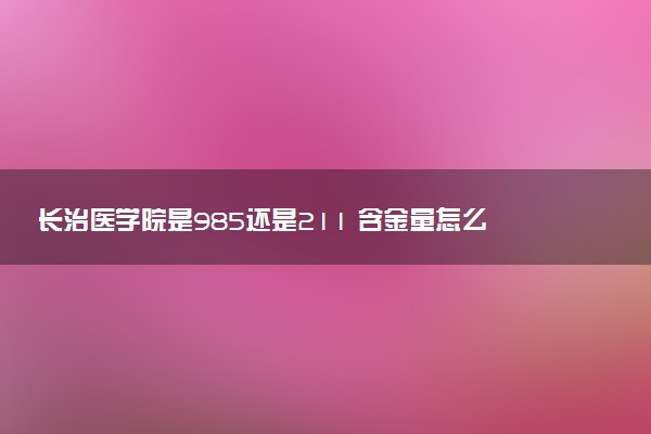 长治医学院是985还是211 含金量怎么样