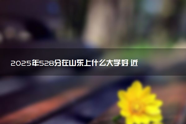 2025年528分在山东上什么大学好 近三年录取分数线是多少