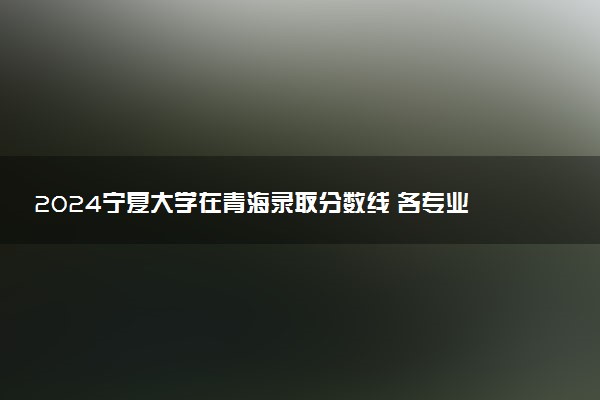 2024宁夏大学在青海录取分数线 各专业分数及位次
