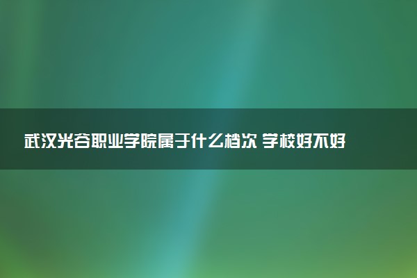 武汉光谷职业学院属于什么档次 学校好不好